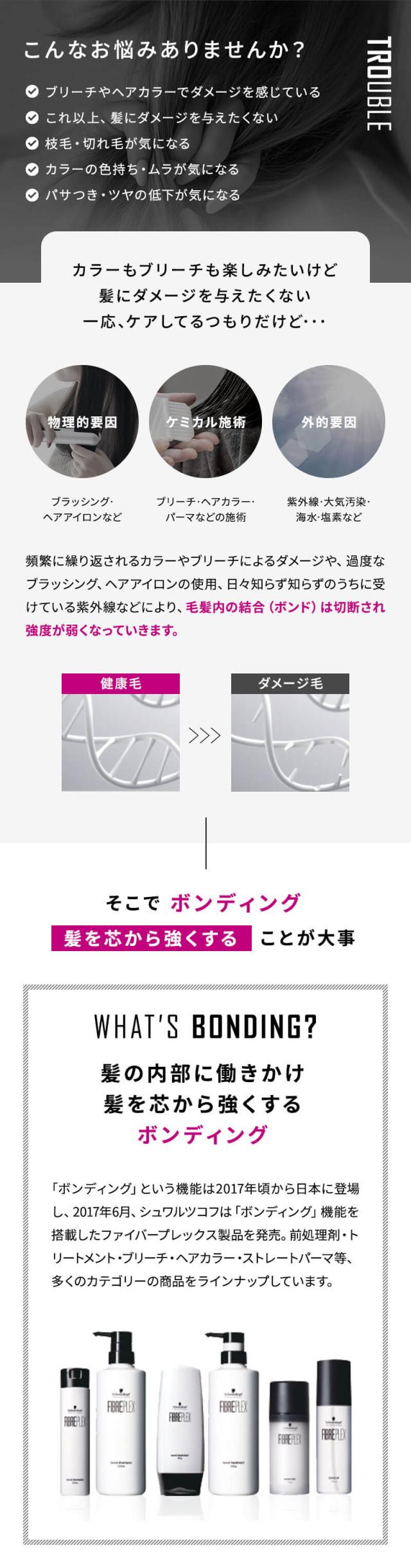 シュワルツコフ ファイバープレックス ボンド シャンプー＆トリートメント