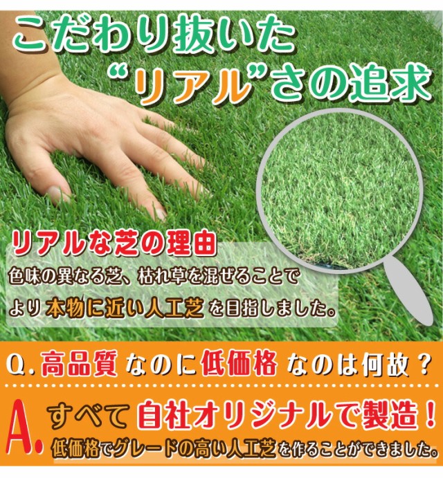 残りわずか 在庫限り超価格 人工芝ロール 1m 10m 芝丈30mm 送料無料 U字ピン22本無料 リアル 人工芝 ロール式 芝生 ロール ドッグラン グリーン ベランダ 即納特典付き Carlavista Com