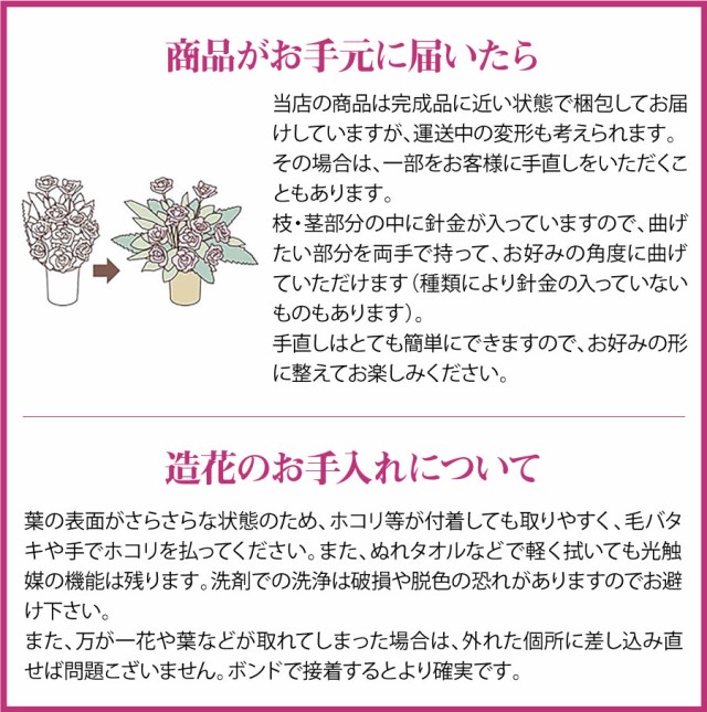 光触媒 光の楽園 ツインカサブランカ 460A120 約 幅60×奥行33×高さ55cm