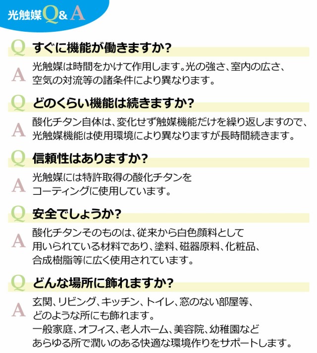 光触媒 光の楽園 ツインカサブランカ 460A120 約 幅60×奥行33×高さ55cm