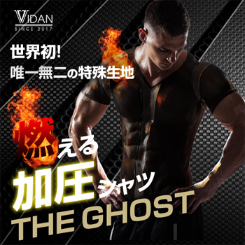 ビダンザゴースト