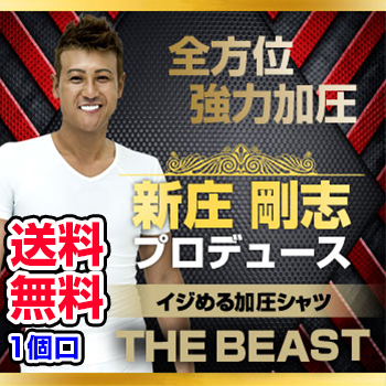 ビダンザビースト VIDAN THE BEAST