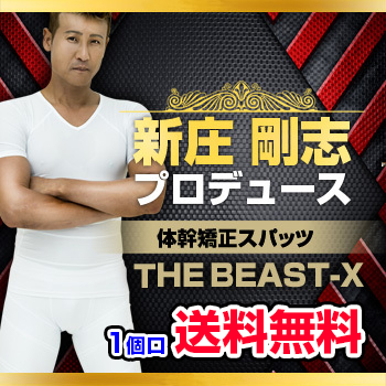 ビダンザビーストエックス VIDAN THE BEAST X