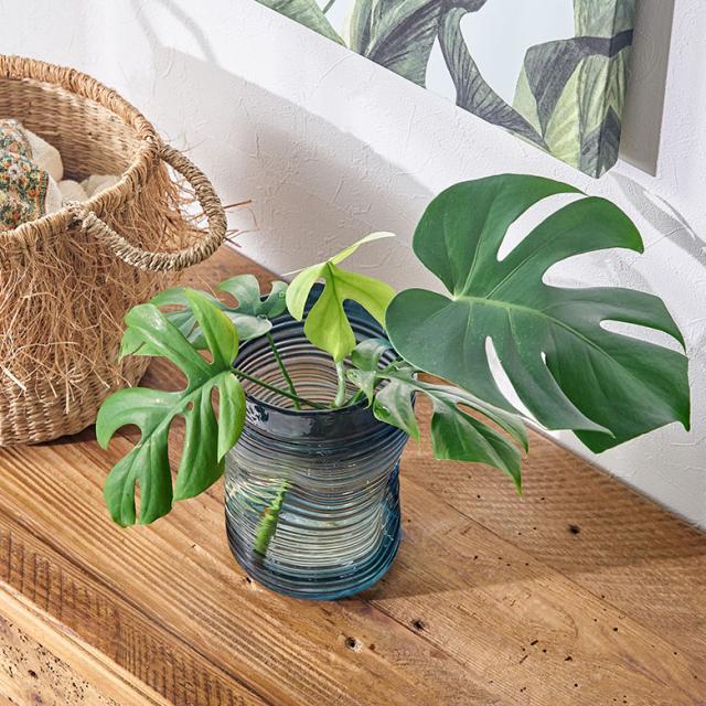 生花、ドライフラワー、造花、フェイクグリーンを飾るのにぴったり