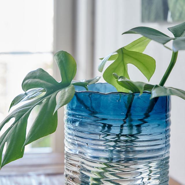 涼やかなガラス素材が植物をより一層引き立てる花びん