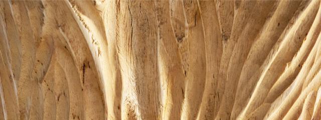 美しいチークウッド