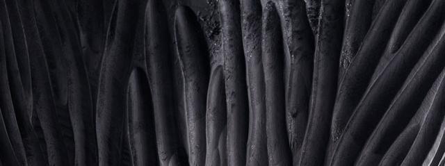 美しいチークウッド