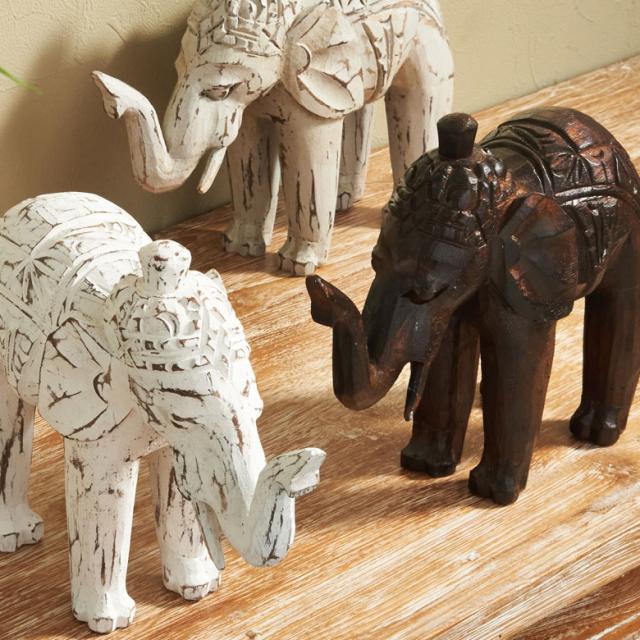 カラーバリエーション