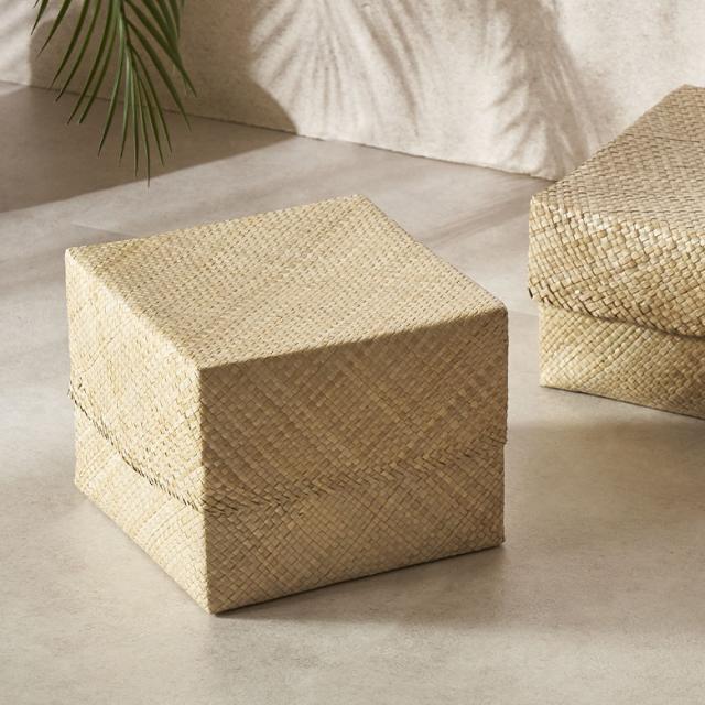 パンダンのスクエアボックス