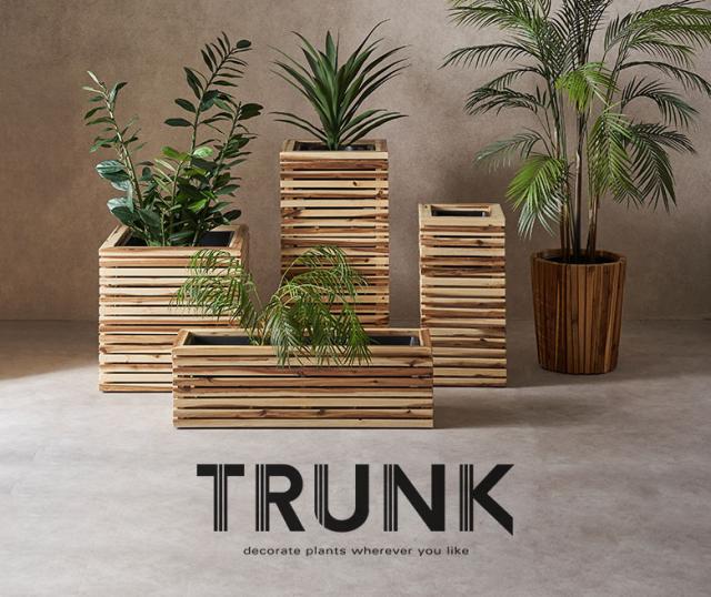 TRUNK トランクシリーズ