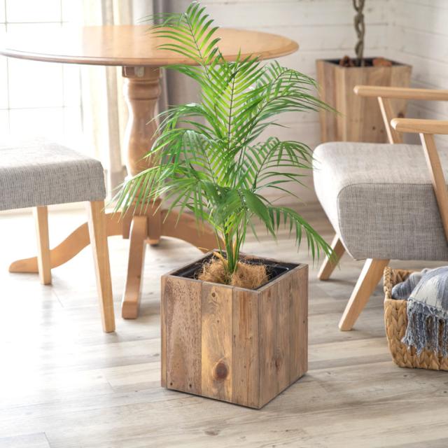 ヴィンテージ感の残るこなれた風合いは植物と相性抜群