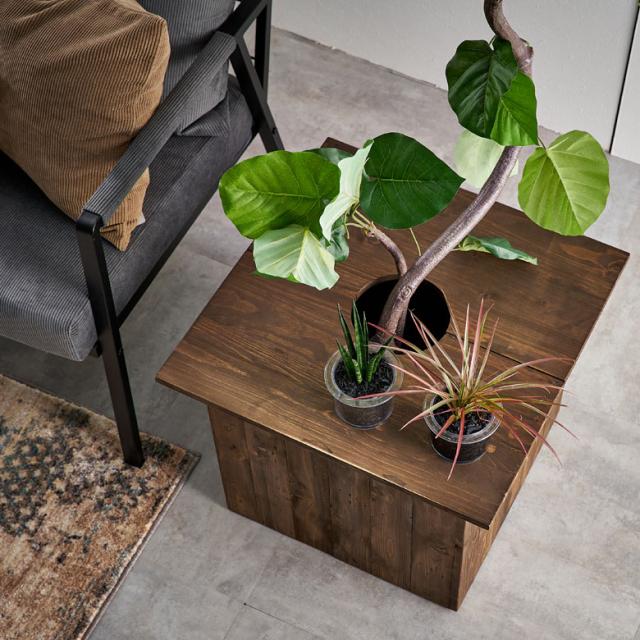 乗せるだけでプランツテーブルになる天板