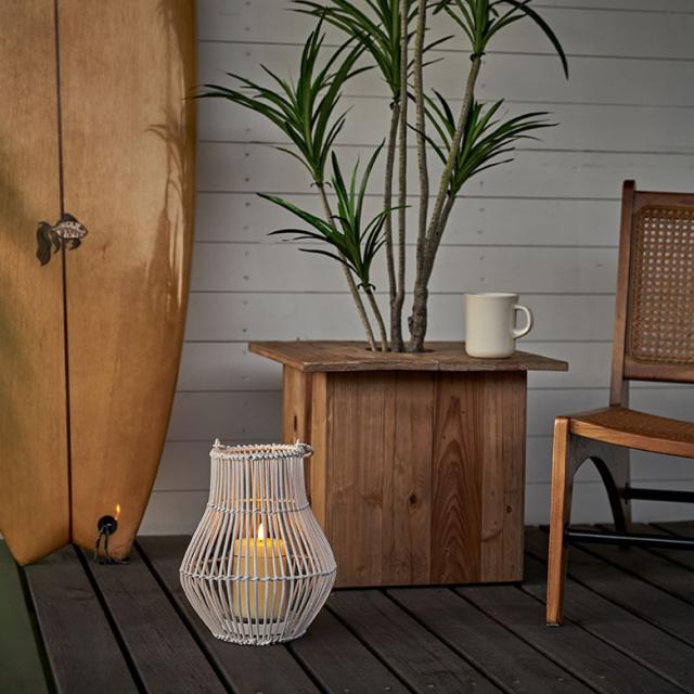 リゾートインテリアや植物とも相性抜群