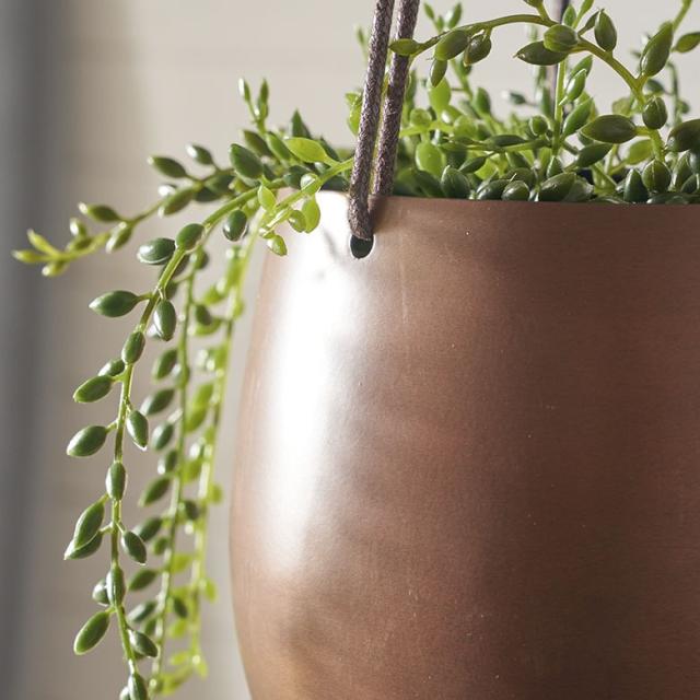 ハンギンググリーン