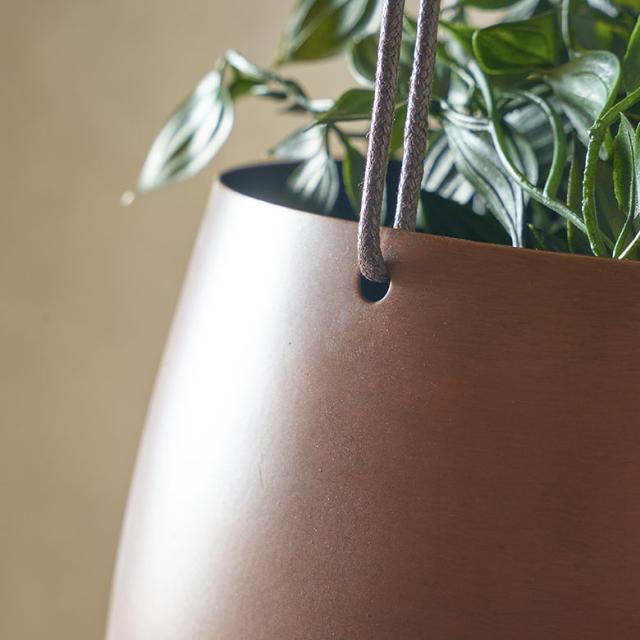 ハンギンググリーン