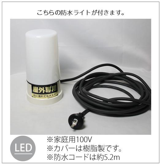 ふくろう　陶器フクロウ　信楽焼ふくろう　梟