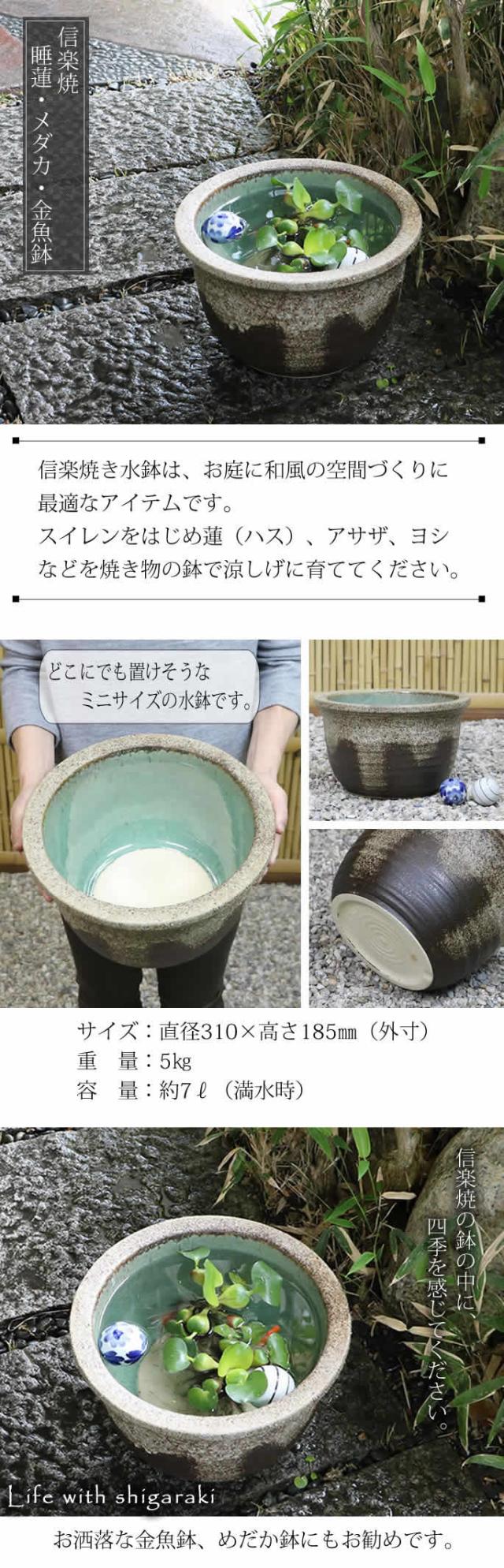 信楽焼 つる付きメダカ 直径29cm(陶器の寸法でつるは含みません) 信楽焼 つる付きメダカ 直径29cm(陶器の寸法でつるは含みません)
