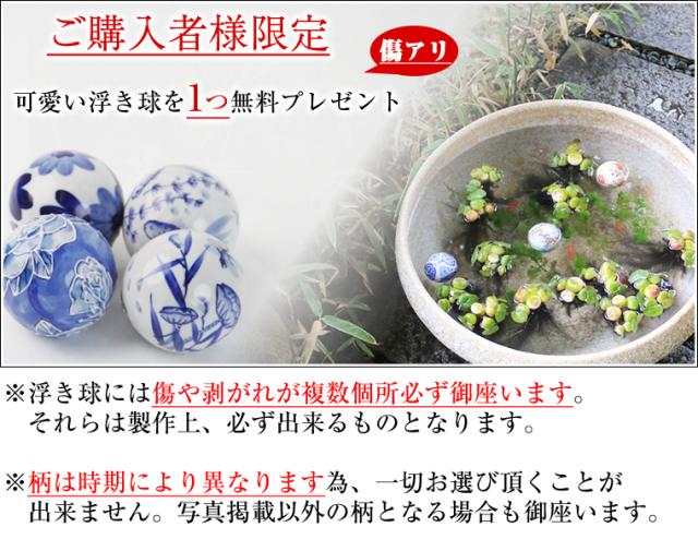 信楽焼き水鉢 すいれん鉢 金魚鉢 メダカ鉢 陶器睡蓮鉢 スイレン鉢
