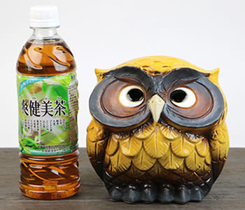 ふくろう 陶器フクロウ 信楽焼ふくろう 梟