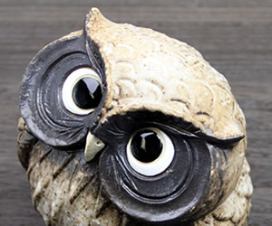 ふくろう 陶器フクロウ 信楽焼ふくろう 梟