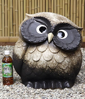 ふくろう　陶器フクロウ　信楽焼ふくろう　梟