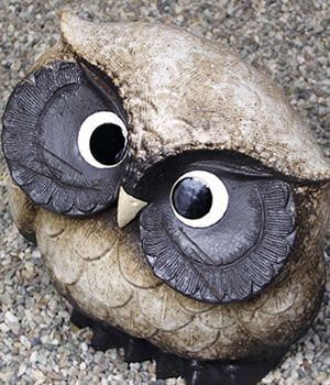ふくろう　陶器フクロウ　信楽焼ふくろう　梟