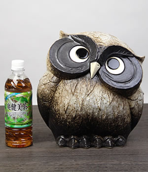ふくろう 陶器フクロウ 信楽焼ふくろう 梟