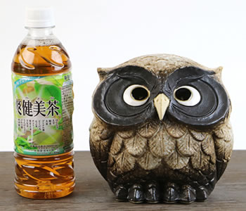 ふくろう 陶器フクロウ 信楽焼ふくろう 梟