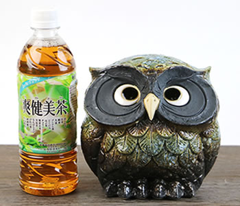 ふくろう 陶器フクロウ 信楽焼ふくろう 梟