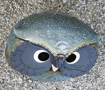 ふくろう　陶器フクロウ　信楽焼ふくろう　梟