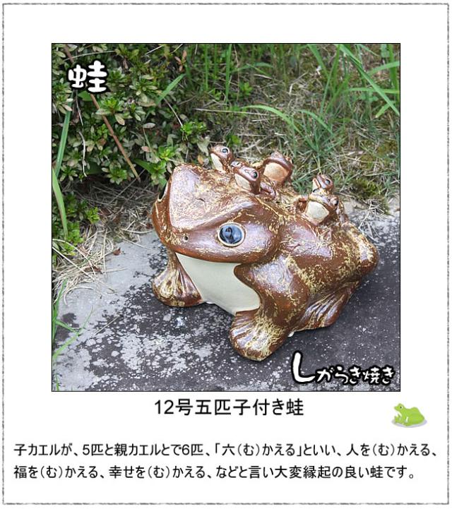 かえる置物 信楽焼き蛙 陶器カエル やきもの