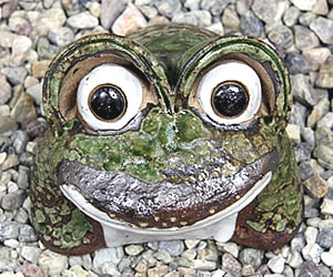 かえる 陶器かえる しがらき蛙 カエル置物 信楽焼