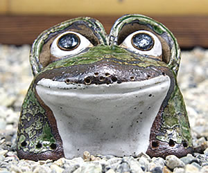 かえる 陶器かえる しがらき蛙 カエル置物 信楽焼