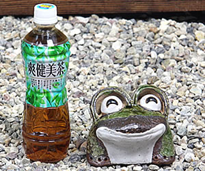 かえる 陶器かえる しがらき蛙 カエル置物 信楽焼