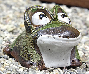 かえる 陶器かえる しがらき蛙 カエル置物 信楽焼