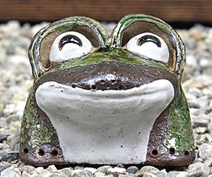 かえる 陶器かえる しがらき蛙 カエル置物 信楽焼