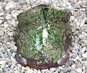 かえる 陶器かえる しがらき蛙 カエル置物 信楽焼