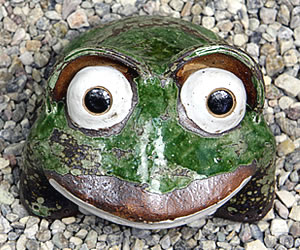 かえる 陶器かえる しがらき蛙 カエル置物 信楽焼