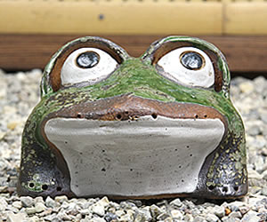 かえる 陶器かえる しがらき蛙 カエル置物 信楽焼