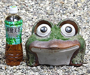 かえる 陶器かえる しがらき蛙 カエル置物 信楽焼