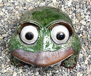 かえる 陶器かえる しがらき蛙 カエル置物 信楽焼