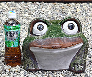 かえる 陶器かえる しがらき蛙 カエル置物 信楽焼