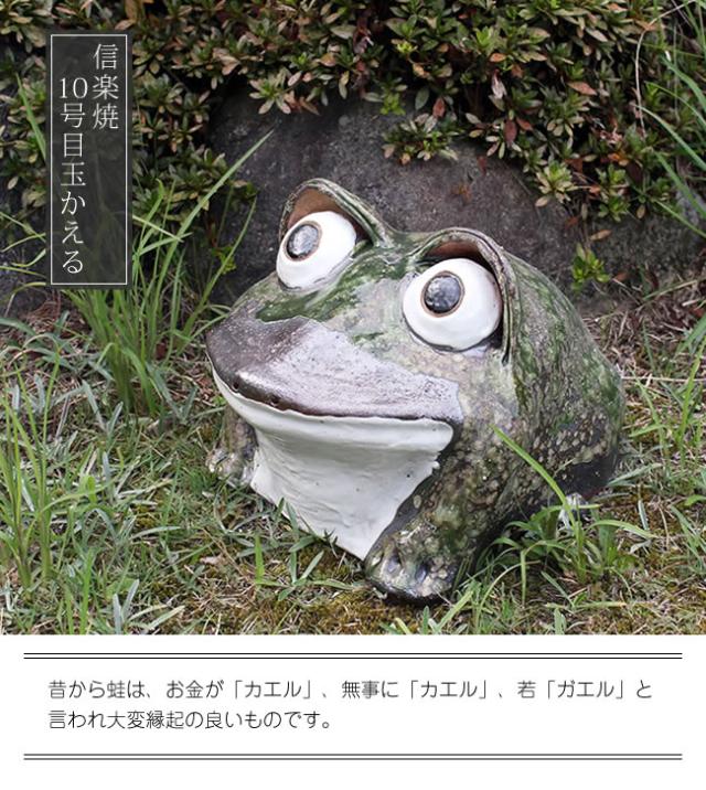 かえる 陶器かえる しがらき蛙 カエル置物 信楽焼