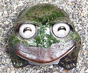 かえる 陶器かえる しがらき蛙 カエル置物 信楽焼