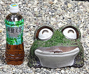 かえる 陶器かえる しがらき蛙 カエル置物 信楽焼