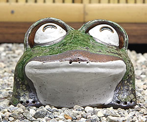 かえる 陶器かえる しがらき蛙 カエル置物 信楽焼
