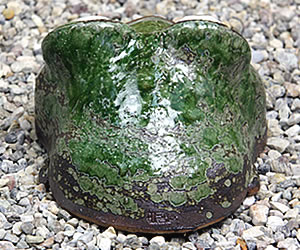 かえる 陶器かえる しがらき蛙 カエル置物 信楽焼