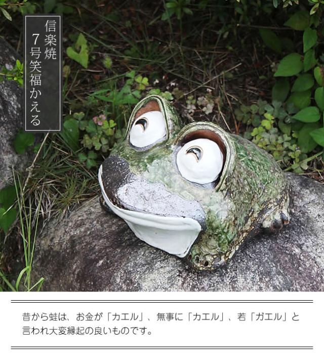 かえる 陶器かえる しがらき蛙 カエル置物 信楽焼