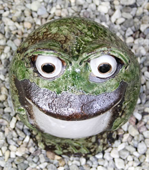 かえる 陶器かえる しがらき蛙 カエル置物 信楽焼