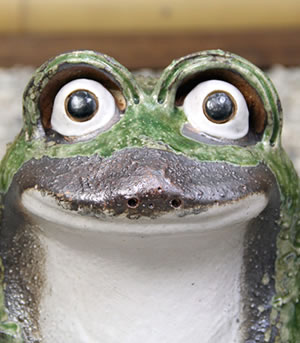 かえる 陶器かえる しがらき蛙 カエル置物 信楽焼